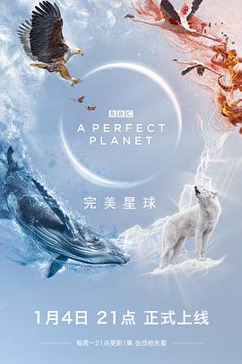 完美星球(英语)